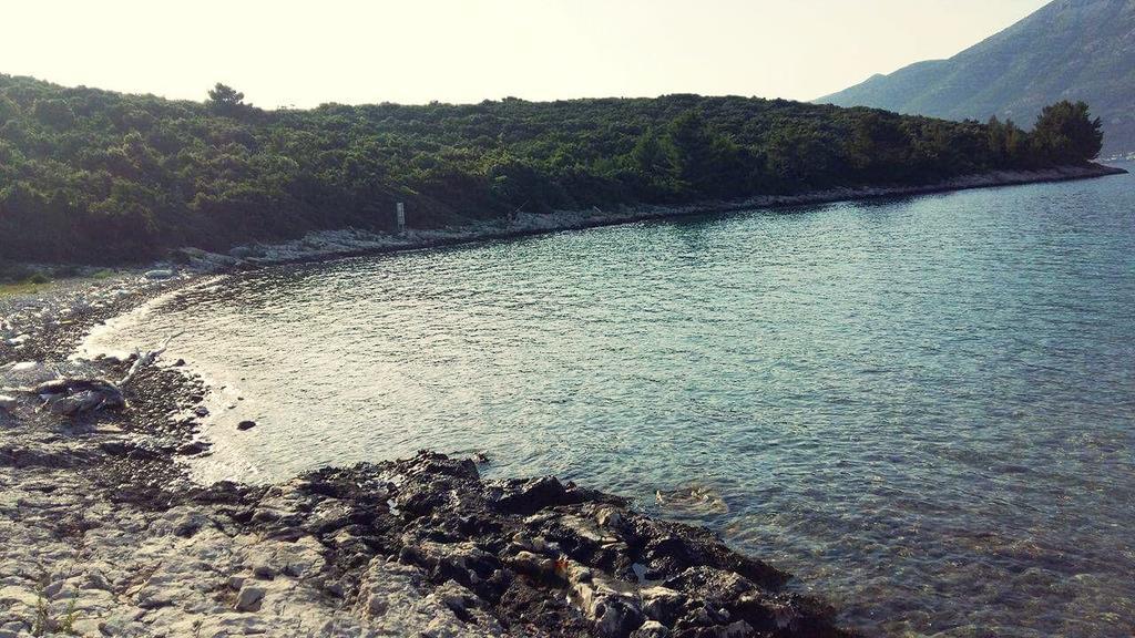 Ivana Apartment Korčula Eksteriør billede